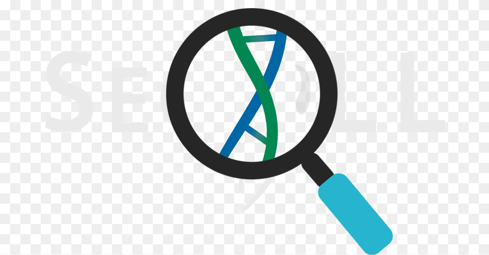 Magnifying Glass Dna Cell Svg Icon Png Image