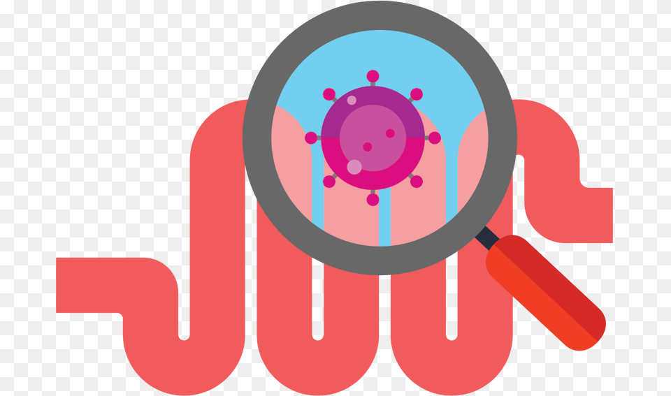 Magnifying Glass Looking At Gut Gut Microbiome, Food, Sweets Free Transparent Png