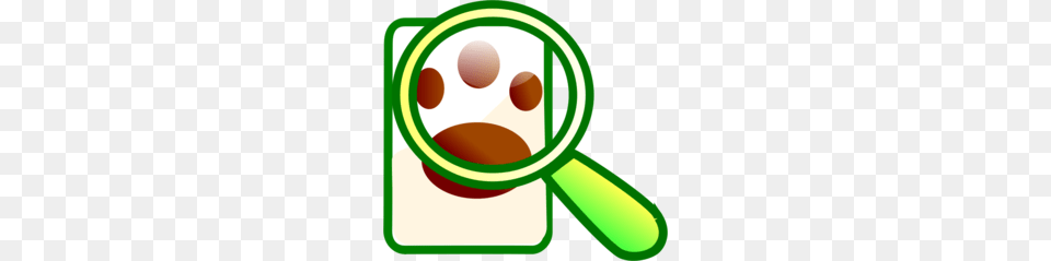 Magnifying Glass Transparent Clipart Magnifying Glass Png Image