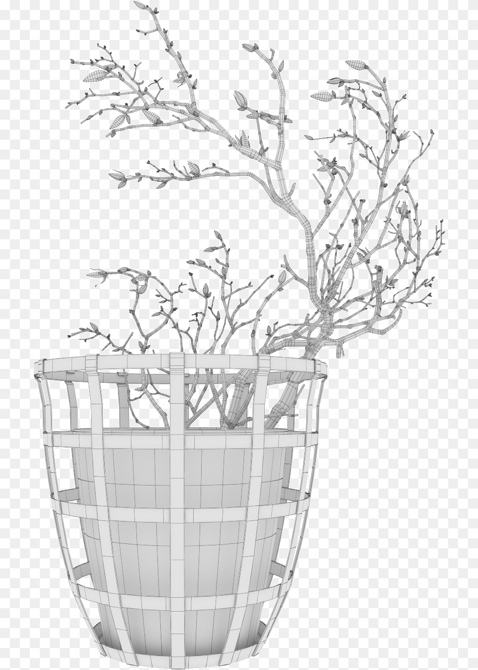 Magnolia 03 Flowerpot, Plant, Potted Plant, Art, Drawing Png