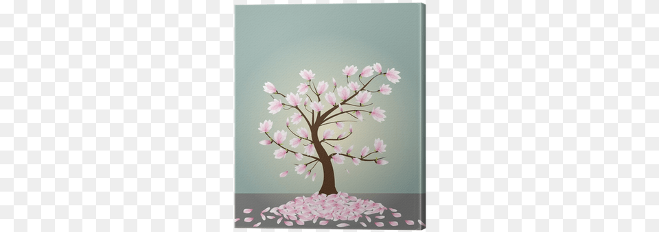 Magnolia, Flower, Plant, Cherry Blossom, Flower Arrangement Free Png