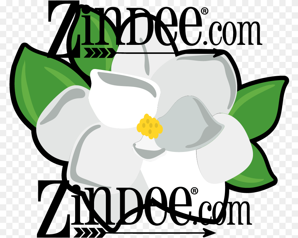 Magnolia 3 Inch Language, Anemone, Flower, Plant Png Image