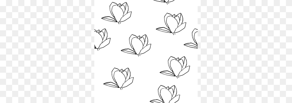 Magnolia Art, Drawing, Pattern Png