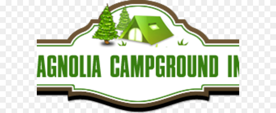 Magnolia Campground Inc, Green, Plant, Tree, Fir Png Image