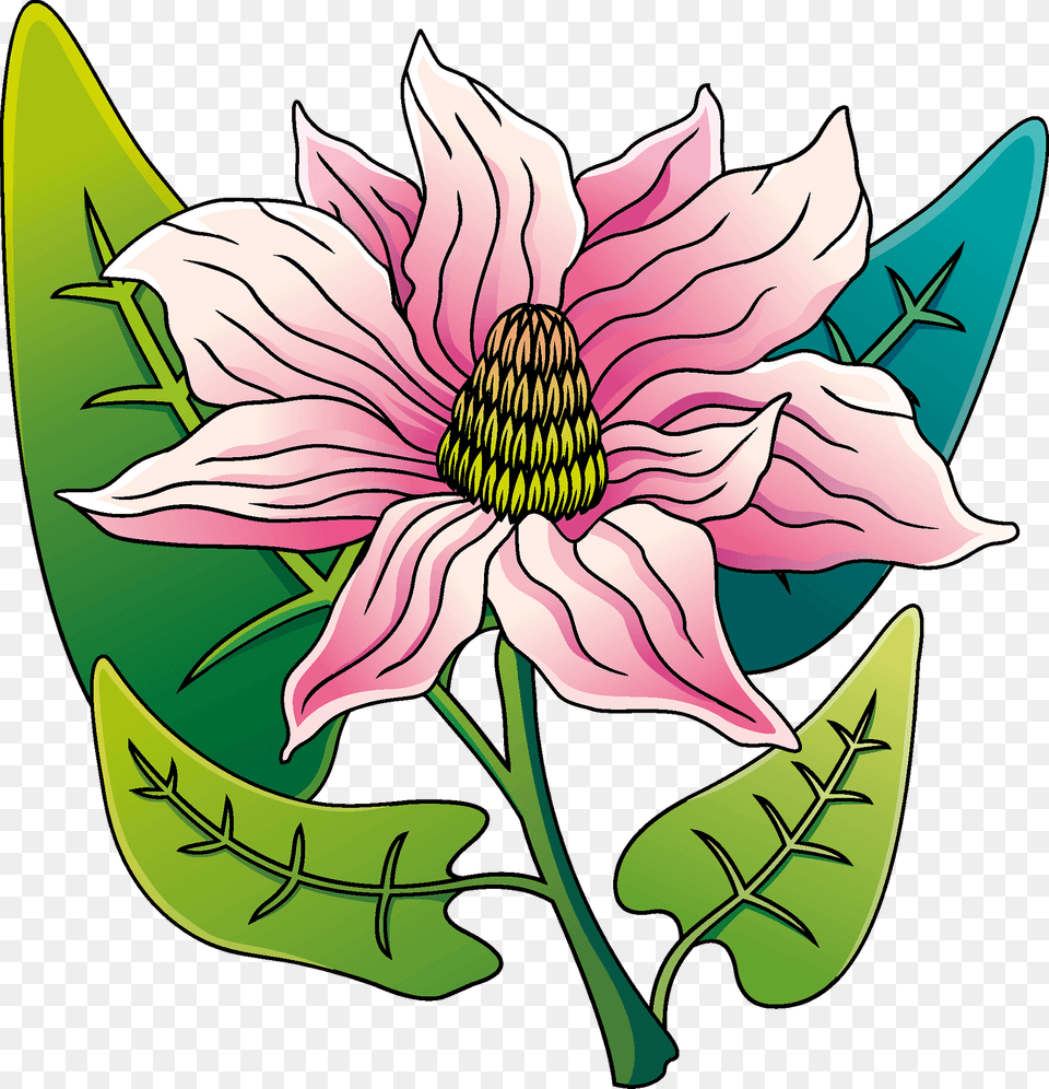 Magnolia Clipart, Dahlia, Flower, Petal, Plant Png