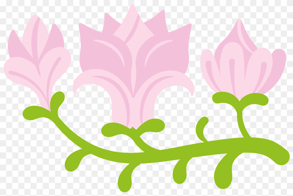 Magnolia Clipart, Art, Floral Design, Flower, Graphics Free Png