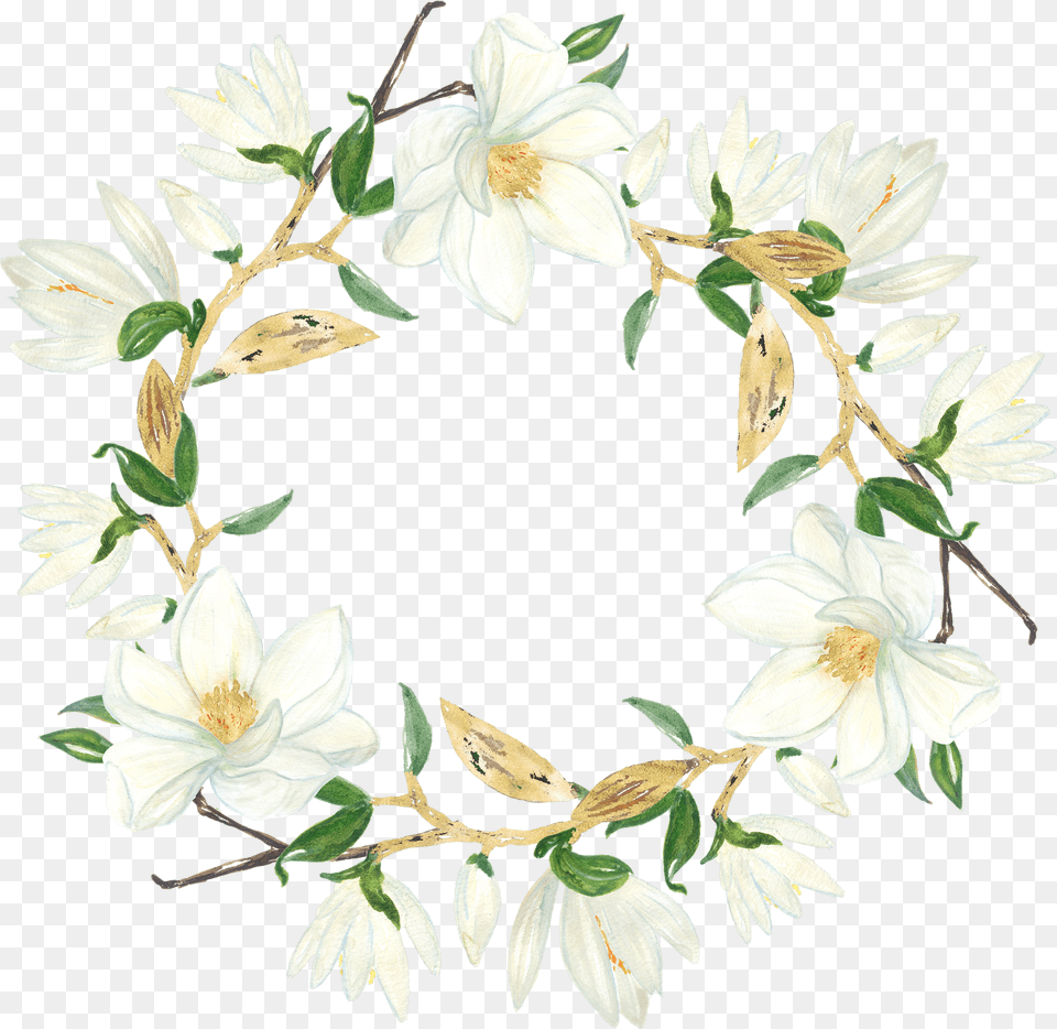 Magnolia Clipart Flower Japanese Noren Doorway Curtain, Plant, Leaf Free Transparent Png