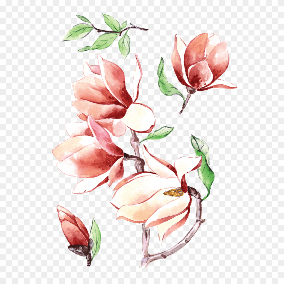 Magnolia Coloured Tattoo Flower, Plant, Petal, Art, Rose Png