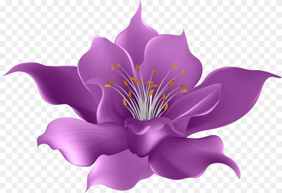 Magnolia Flower, Clothing, Knitwear, Sweater, Coat Png