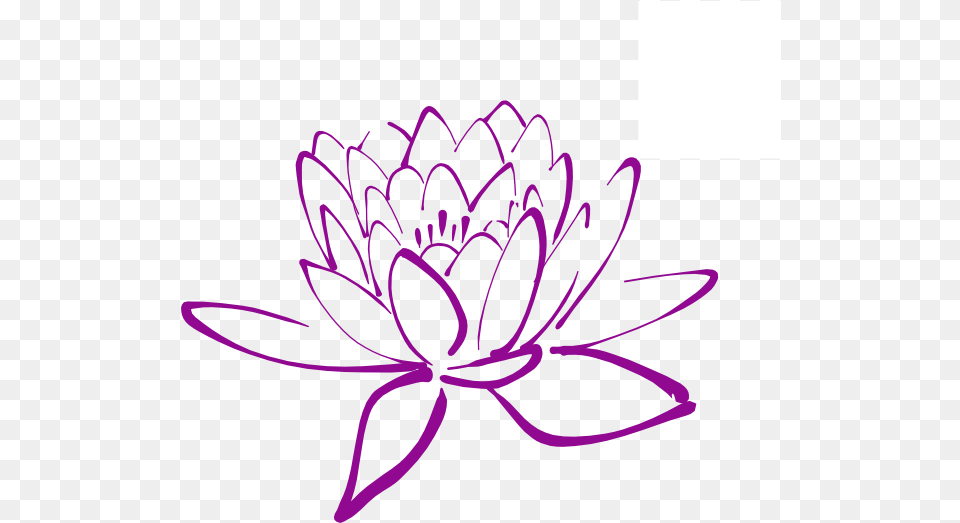 Magnolia Flower Clip Art Lotus Flower Outline Flower Drawing Lotus, Dahlia, Plant, Purple Png Image