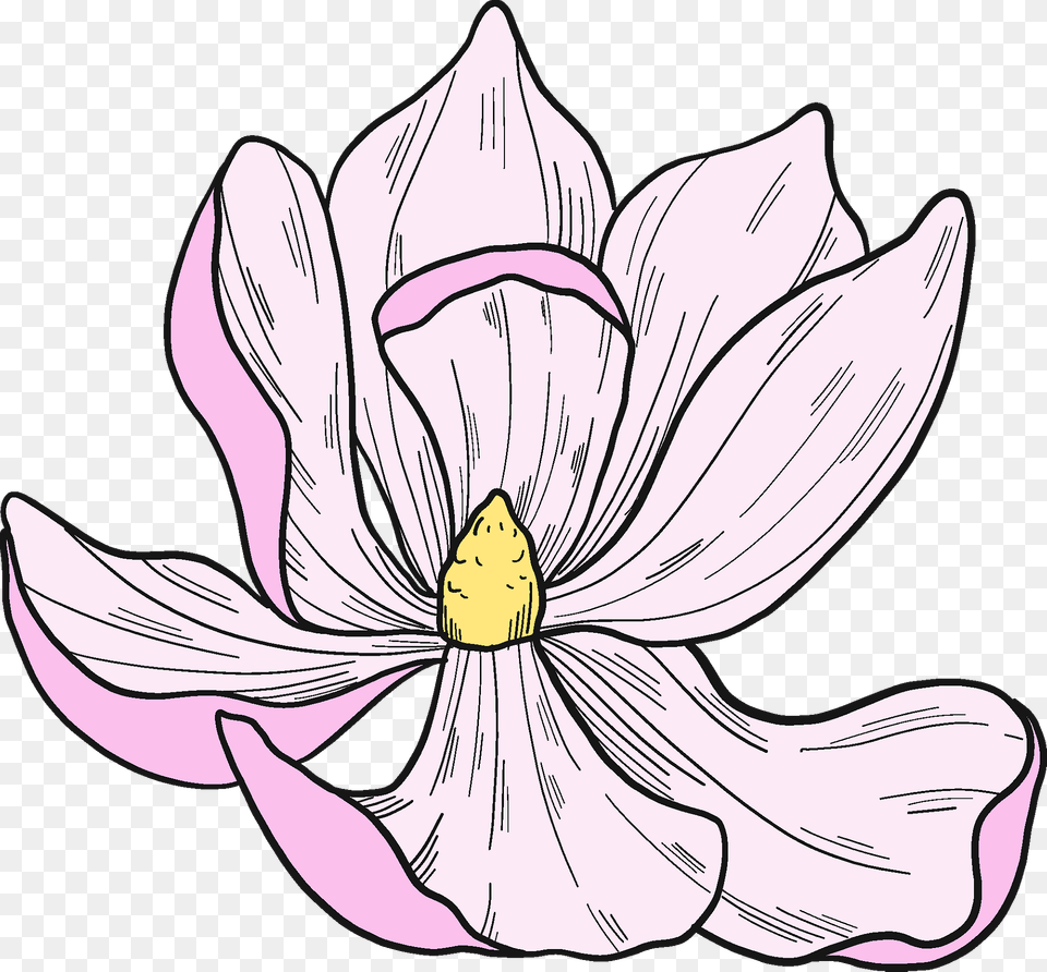 Magnolia Flower Clipart, Anther, Petal, Plant, Animal Free Png Download