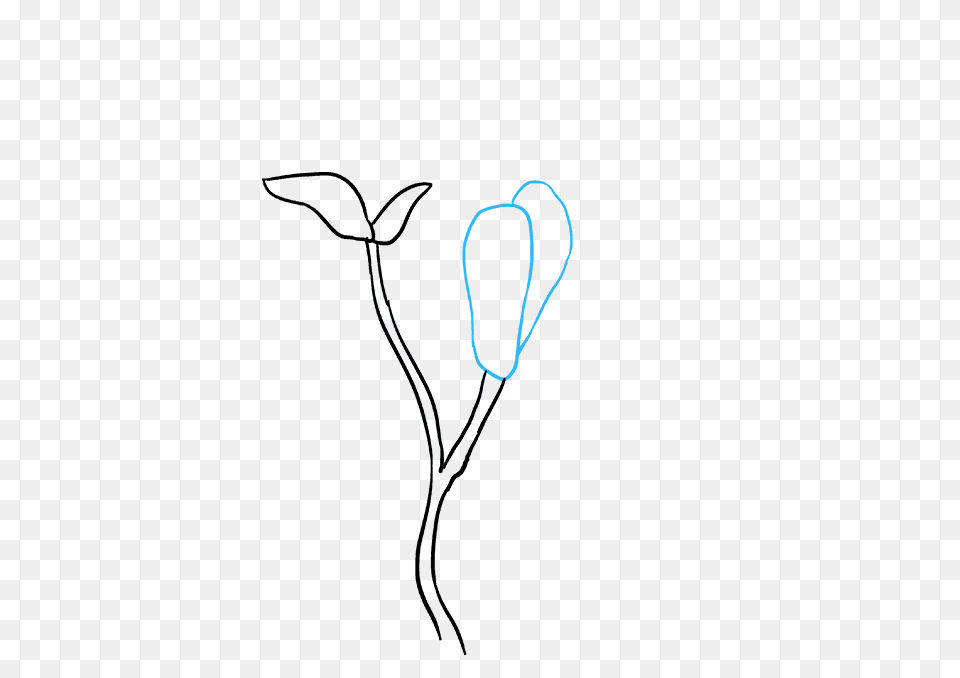 Magnolia Flower Drawing Easy Free Png