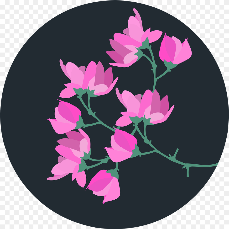 Magnolia Flower Spring Flor Magnolia En, Art, Graphics, Pattern, Petal Free Png Download