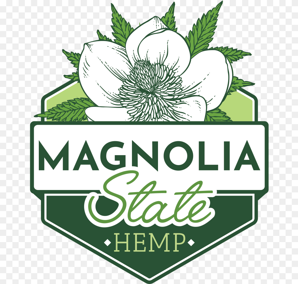 Magnolia State Hemp Language, Green, Herbal, Herbs, Plant Png