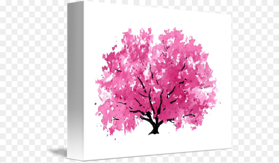 Magnolia Tree Cherry Blossom, Flower, Plant, Art, Cherry Blossom Png Image