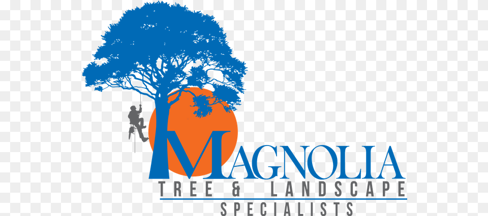 Magnolia Tree U0026 Landscape Specialist New Windsor Md Language, Plant, Art, Graphics, Logo Png Image