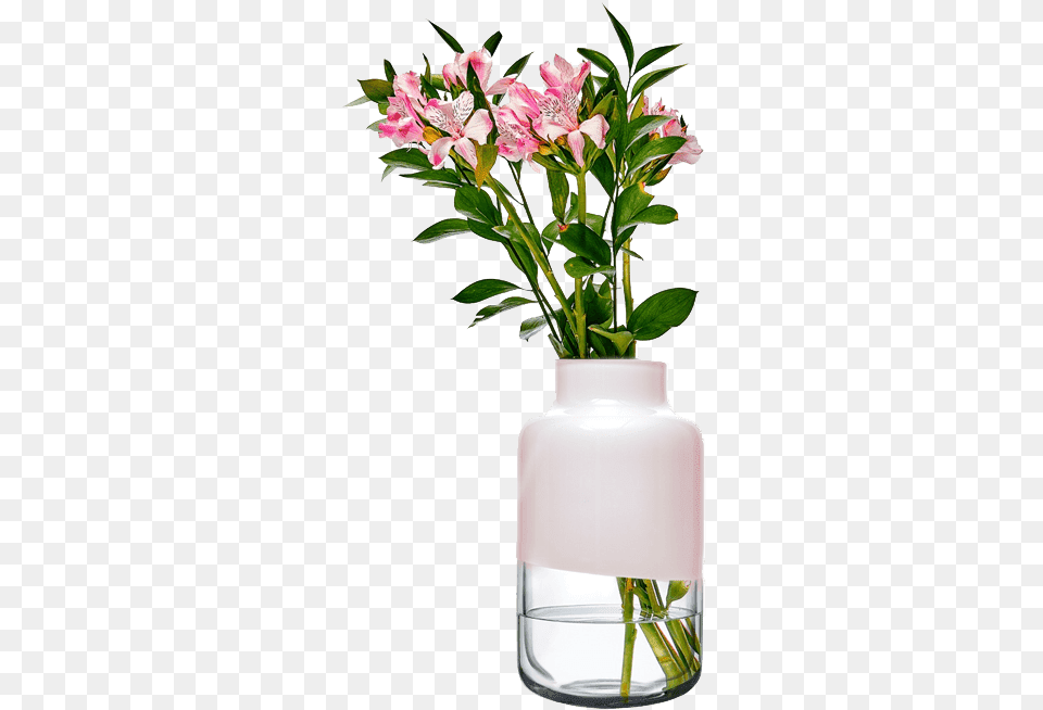 Magnolia Vase Mm Stargazer Lily, Flower, Flower Arrangement, Flower Bouquet, Jar Png