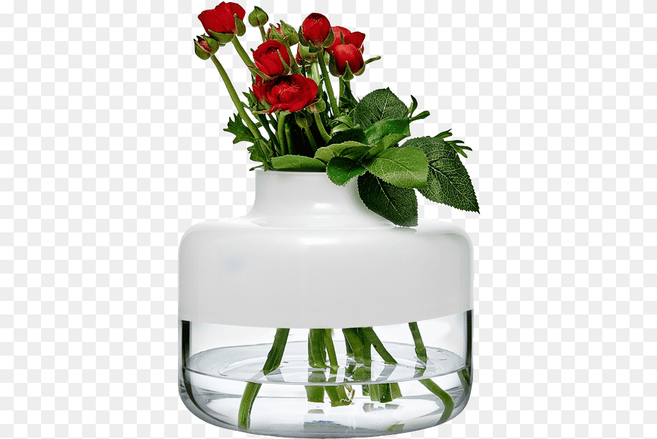 Magnolia Vase, Flower, Flower Arrangement, Flower Bouquet, Jar Free Transparent Png