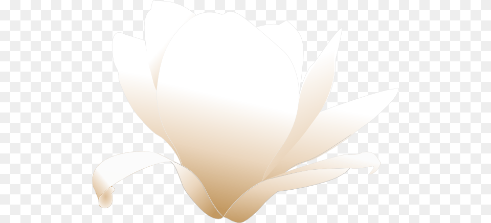 Magnolia White Clip Art, Flower, Petal, Plant, Rose Free Png