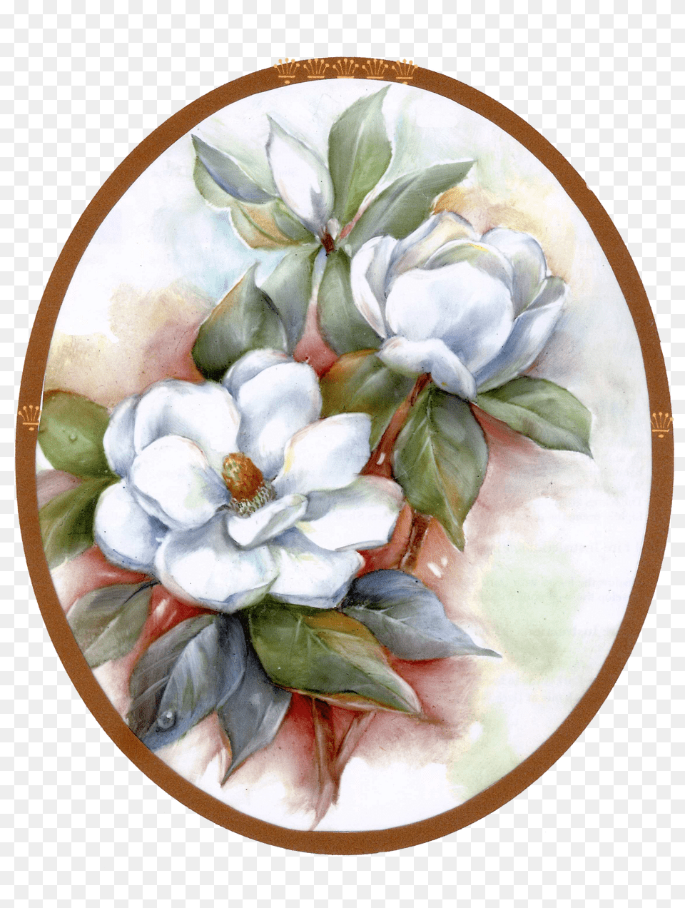 Magnolias Art Photo Flowers Magnolia Decoupage Free Png