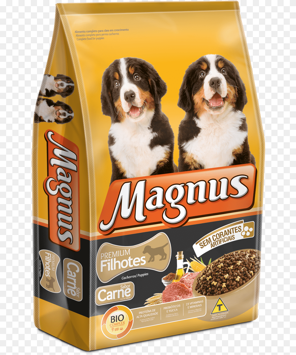 Magnus Premium Filhote, Animal, Canine, Dog, Mammal Free Png Download