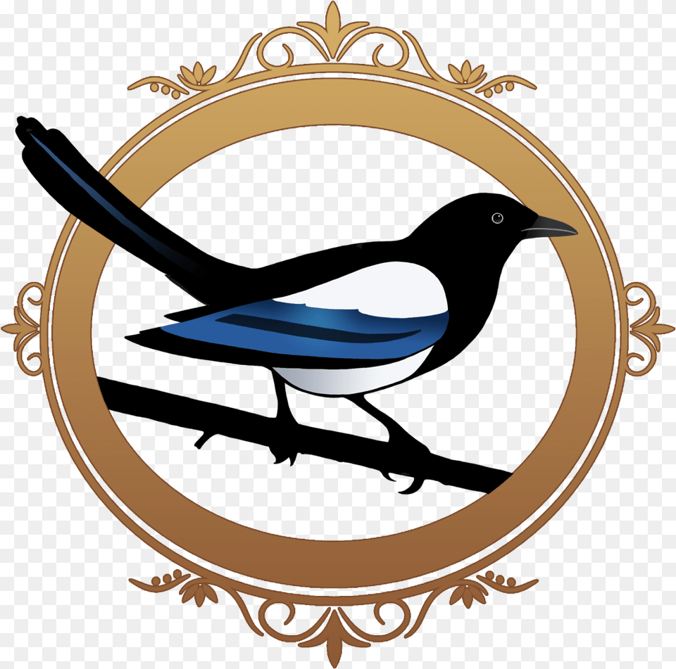 Magpie, Animal, Bird Png Image