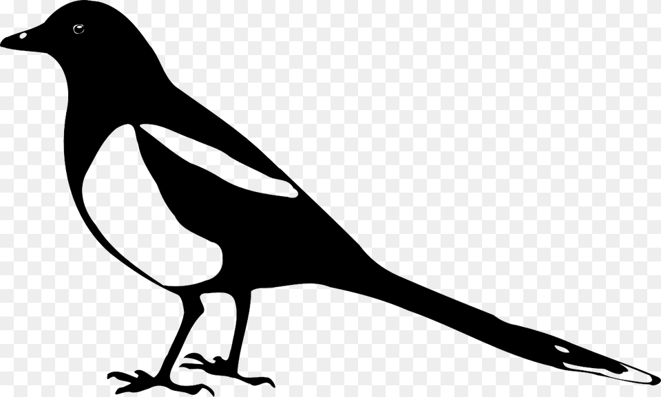 Magpie Animal Bird Crow Nature Silhouette Stencil Magpie Clip Art, Fish, Sea Life, Shark Free Png