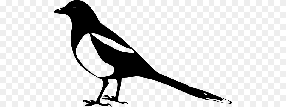 Magpie Clipart Cartoon, Animal, Bird, Fish, Sea Life Free Png