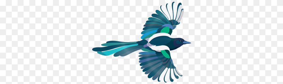 Magpie Clipart Transparent, Animal, Bird, Jay Png