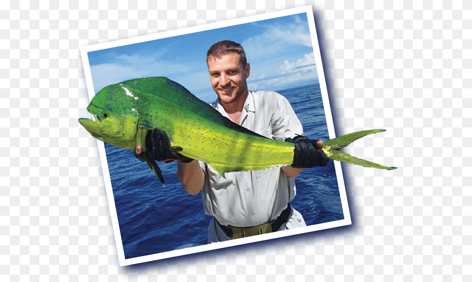 Mahi Mahi Fisherman, Water, Outdoors, Fishing, Leisure Activities Free Transparent Png