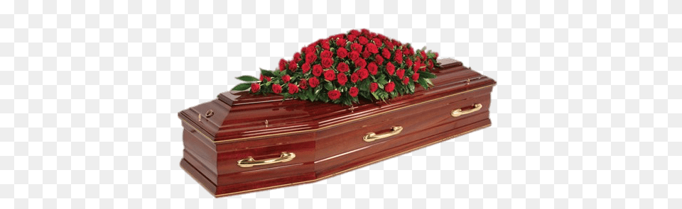 Mahogany Coffin Covered With Roses, Funeral, Person, Flower, Plant Png Image