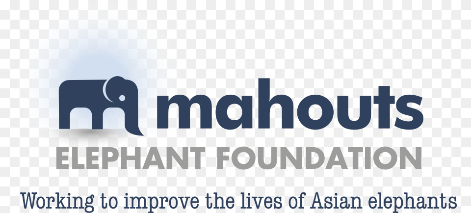 Mahouts Elephant Foundation Asian Elephant, Logo Free Png Download