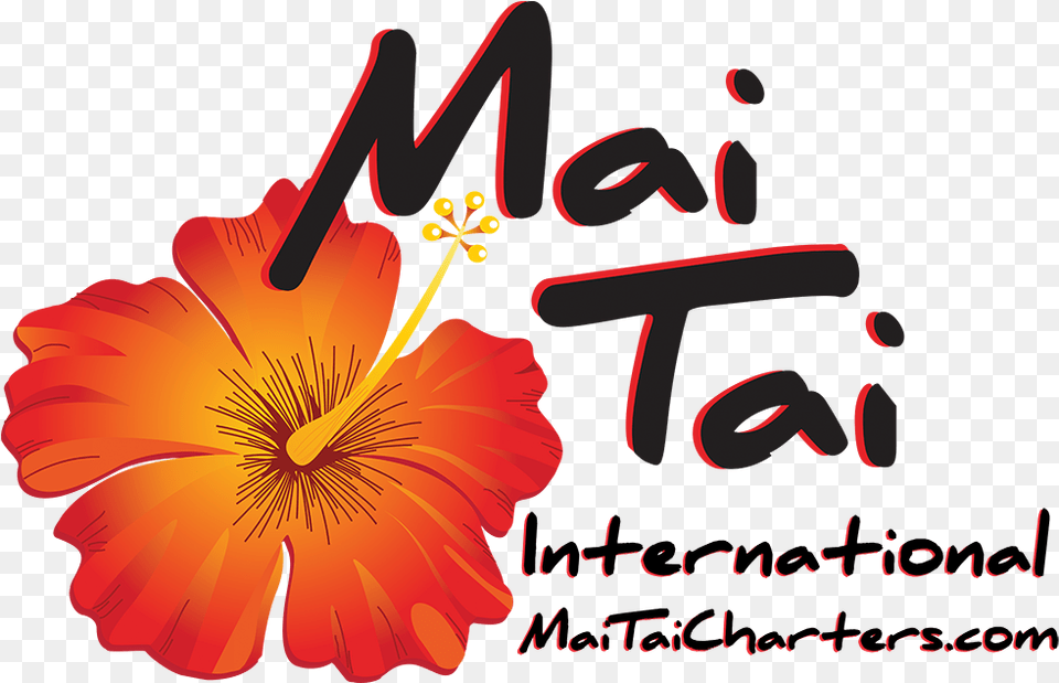 Mai, Anther, Flower, Plant, Petal Free Transparent Png