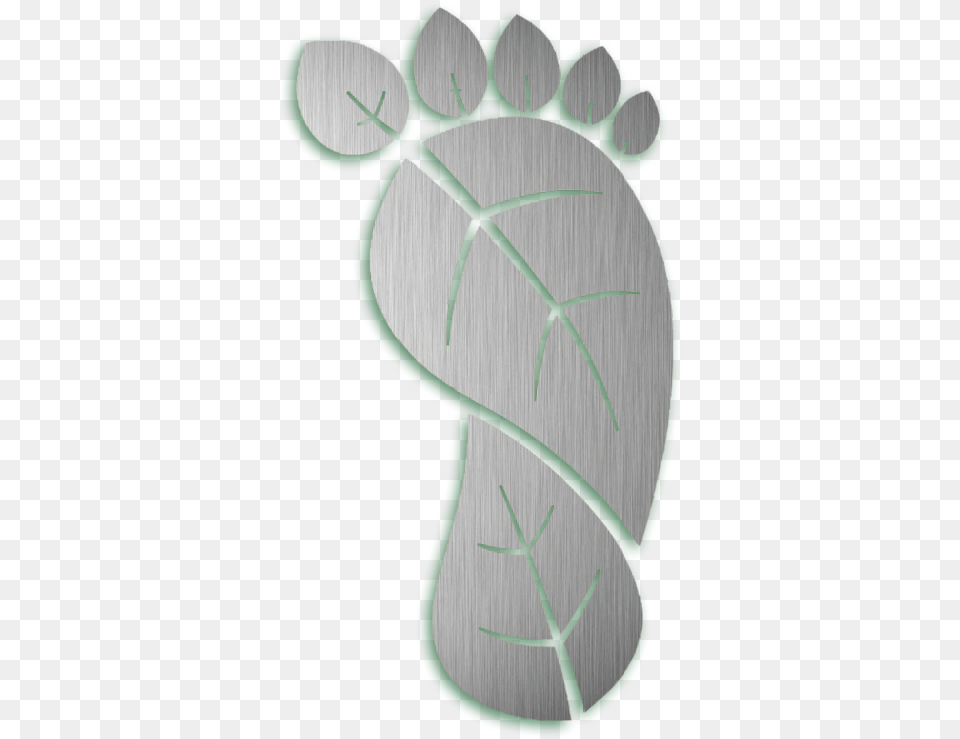 Maidenhair Tree, Footprint, Bow, Weapon Free Png Download