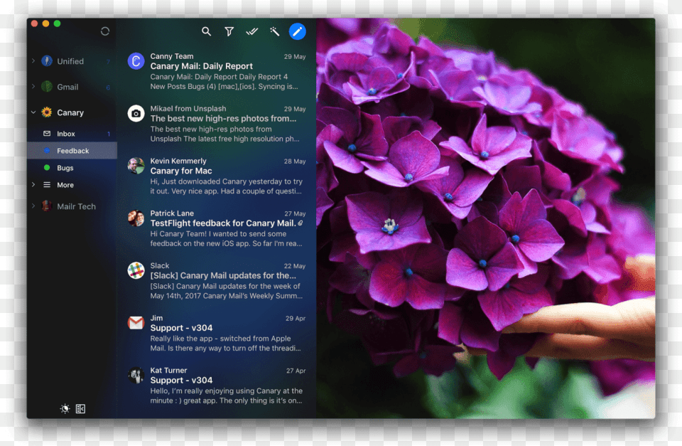 Mail Apps For Mac Canary Mail, Flower, Geranium, Petal, Plant Free Png