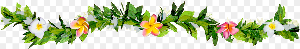 Maile Lei Clip Art, Accessories, Flower, Flower Arrangement, Ornament Free Png Download