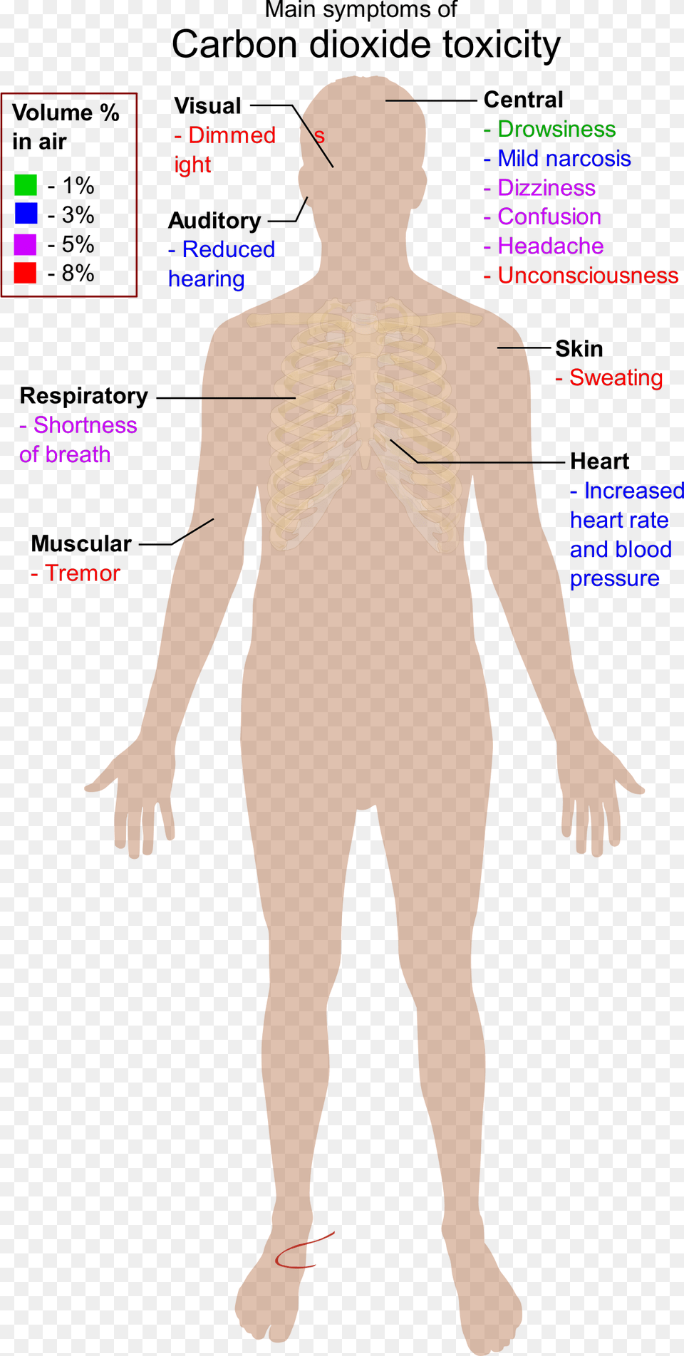 Main Symptoms Of Carbon Dioxide Toxicity Svg Clip Arts, Adult, Male, Man, Person Png