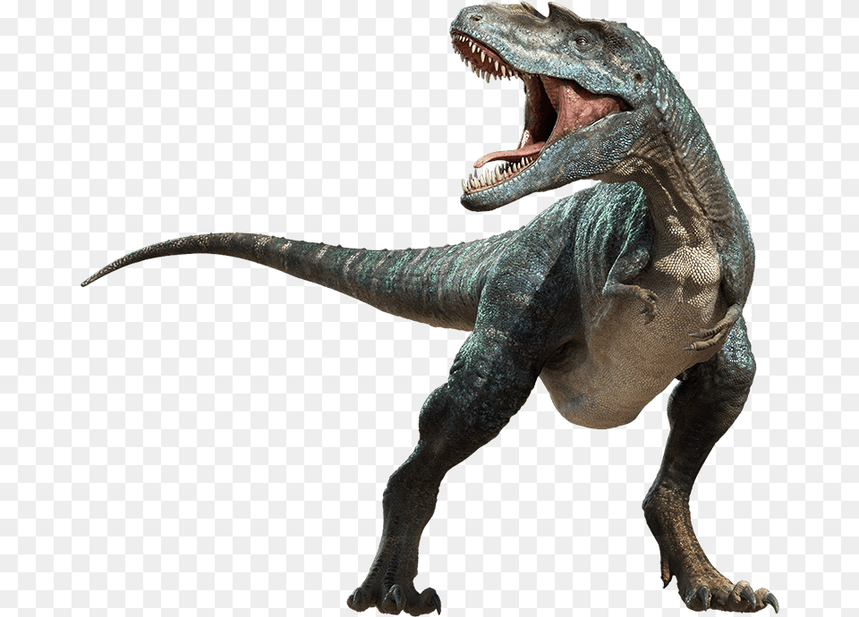 Main Top Rexx, Animal, Dinosaur, Reptile, T-rex Free Transparent Png