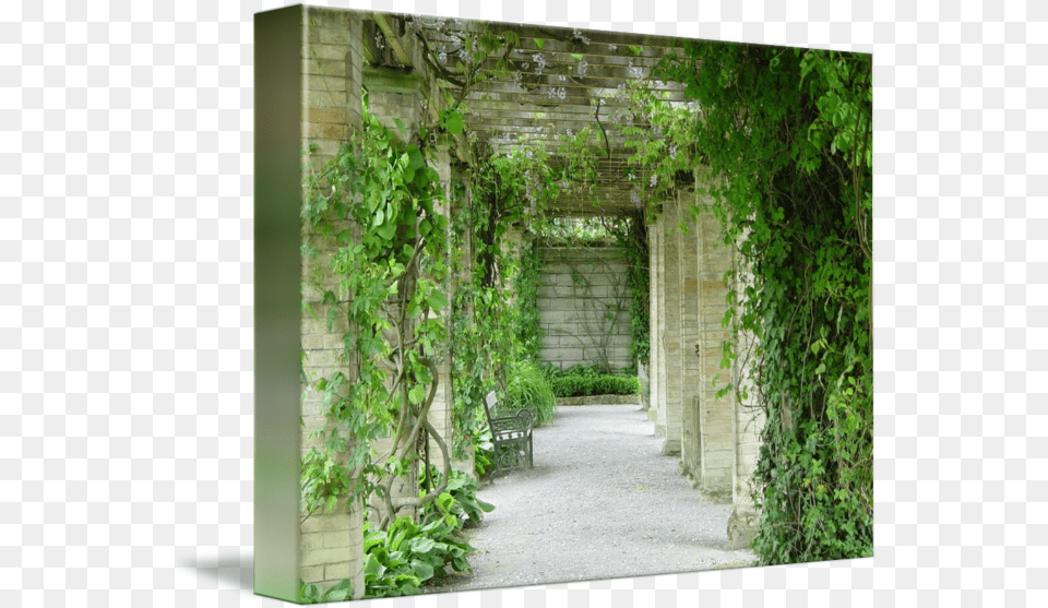 Mainau Flowers And Vines By Vicki Liston Vertical, Arbour, Pergola, Patio, Outdoors Png Image