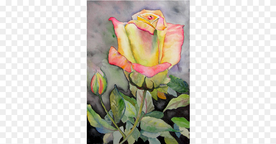 Maine Boats Watercolor Paintings Of Yellow Roses, Art, Flower, Painting, Plant Free Png Download