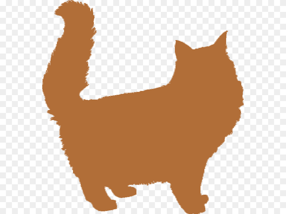 Maine Coon Cat Silhouette Fluffy Cat Silhouette, Animal, Mammal, Manx, Pet Png Image