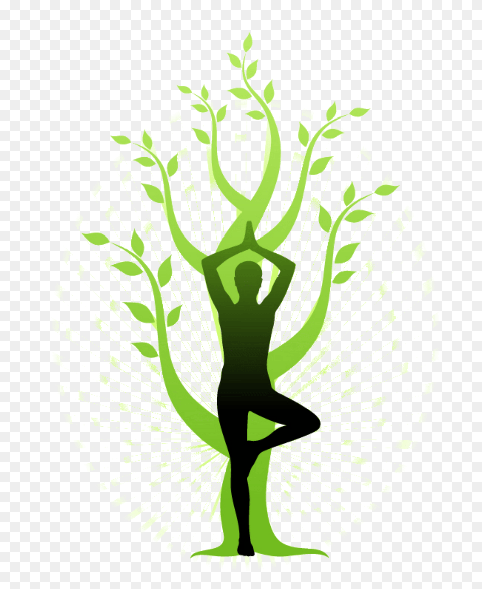 Maitri Yoga, Green, Plant Free Png Download