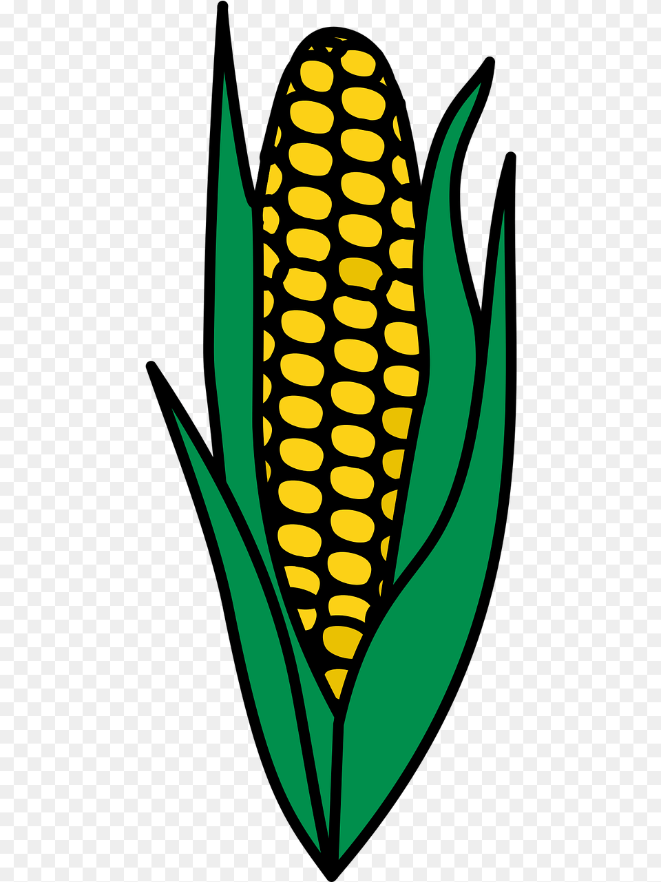 Maize Clipart, Corn, Food, Grain, Plant Png