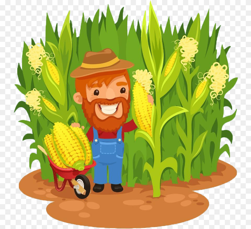 Maize Farmer Field Clip Cartoon Corn Field, Baby, Person, Produce, Food Free Png Download