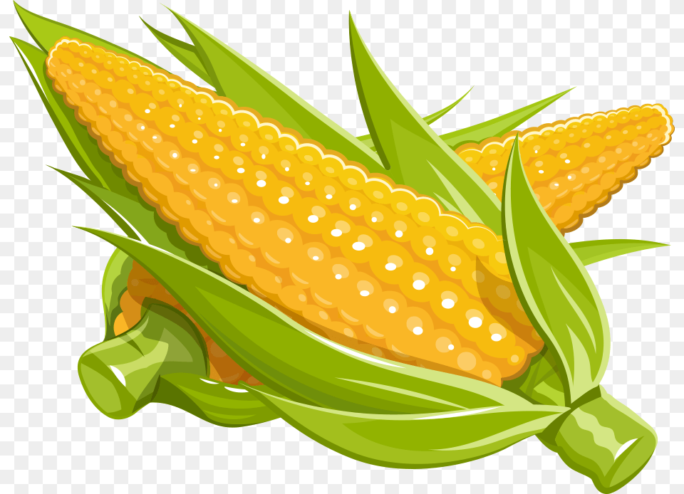 Maize Royalty Illustration Corn Cartoon, Food, Grain, Plant, Produce Free Png