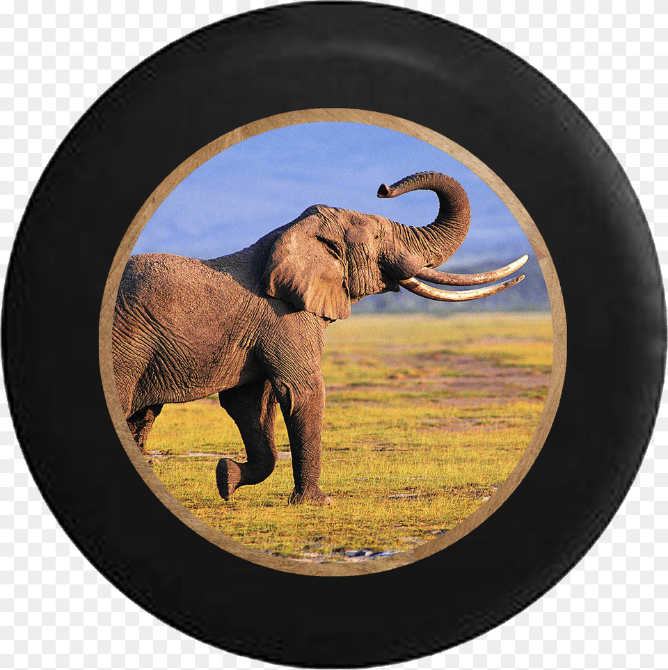 Majestic African Elephant Safari Endangered Trunk Jeep Elephants In Their Habitat, Animal, Mammal, Wildlife, Photography Free Transparent Png
