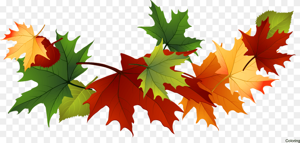 Majestic Autumn Clipart Fall Leaves Clipart Transparent Fall Leaves Transparent Background, Leaf, Plant, Tree, Maple Png