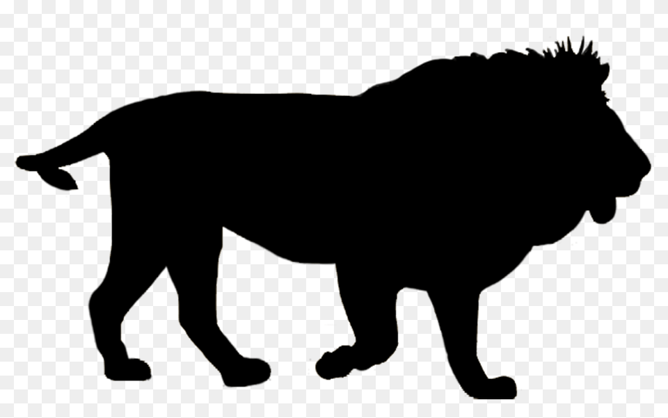 Majestic Lion Soda Can Clipart, Silhouette, Animal, Mammal, Wildlife Free Png Download