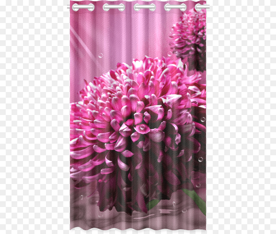 Majestic Magenta Flowers Water Background New Window Window Valance, Dahlia, Flower, Plant, Flower Arrangement Free Transparent Png