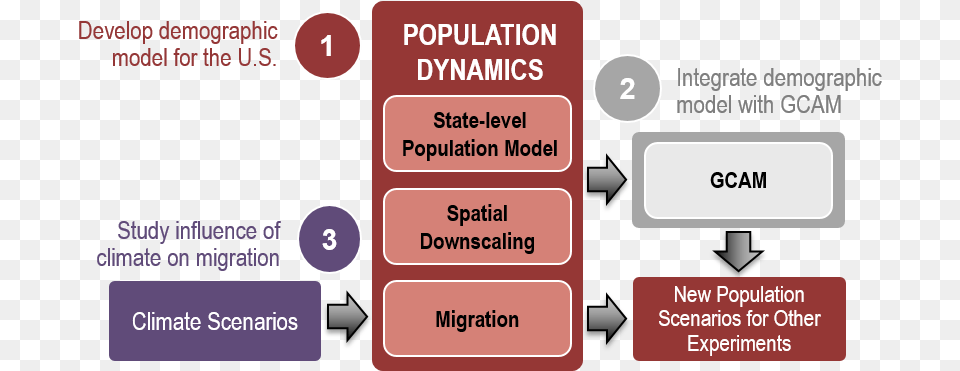 Major Activities And Deliverables In The Population Population, Text Free Png Download